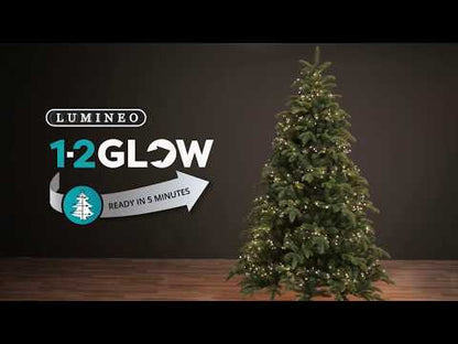 Luces 1-2 Glow Compact & Cluster